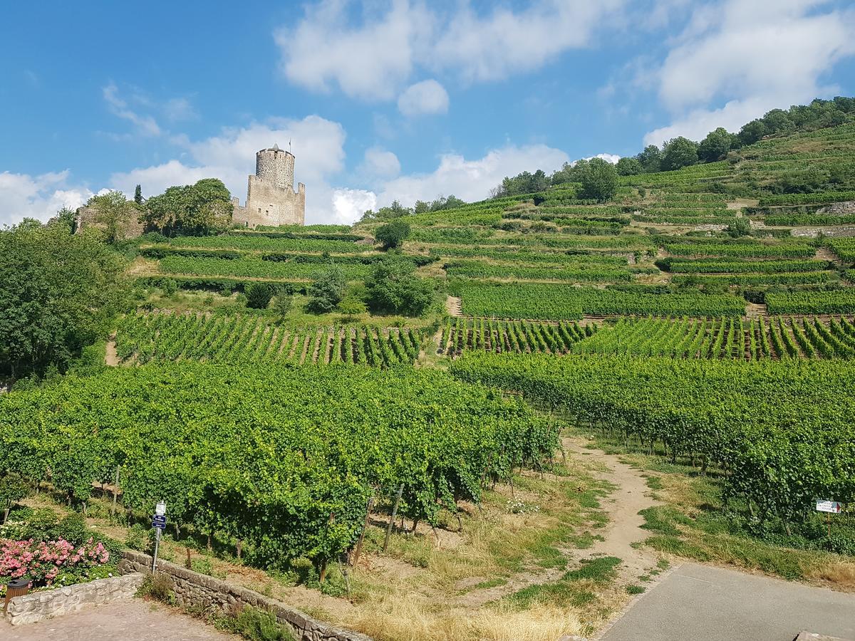 Kaysersberg City Center - Cote Vignoble - Dış mekan fotoğraf